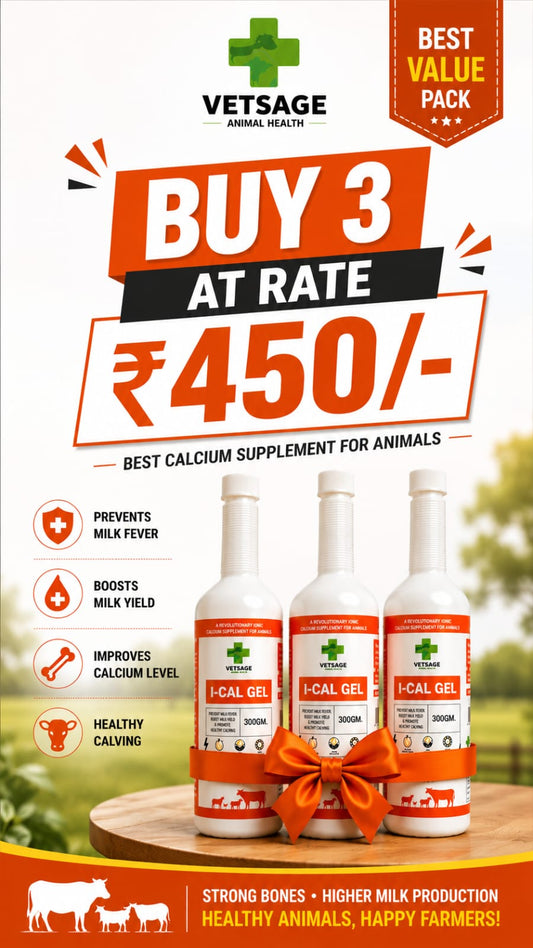 I-CAL GEL IONIC CALCIUM TRIPLE COMBO OFFER