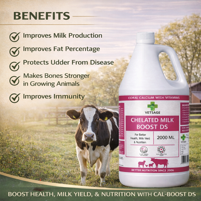 Chelated Milk Boost DS Calcium and Mineral Feed Supplement for Cattle and Dairy Livestock, Nutritional Mineral Additive for Large Animal Nutrition