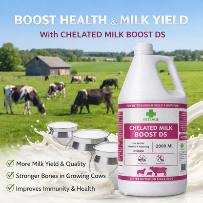 Chelated Milk Boost DS Calcium and Mineral Feed Supplement for Cattle and Dairy Livestock, Nutritional Mineral Additive for Large Animal Nutrition