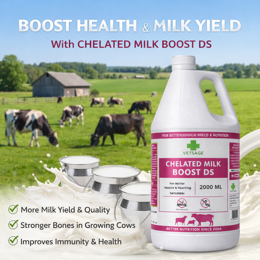Chelated Milk Boost DS Calcium and Mineral Feed Supplement for Cattle and Dairy Livestock, Nutritional Mineral Additive for Large Animal Nutrition
