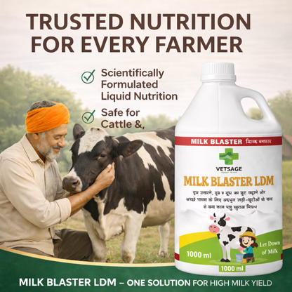 Milk Blaster LDM Cattle Feed Supplement, Nutritional Mineral Mix and Additive for Dairy Livestock and Large Animals for Use in Daily Feed Rations | 1000 ml