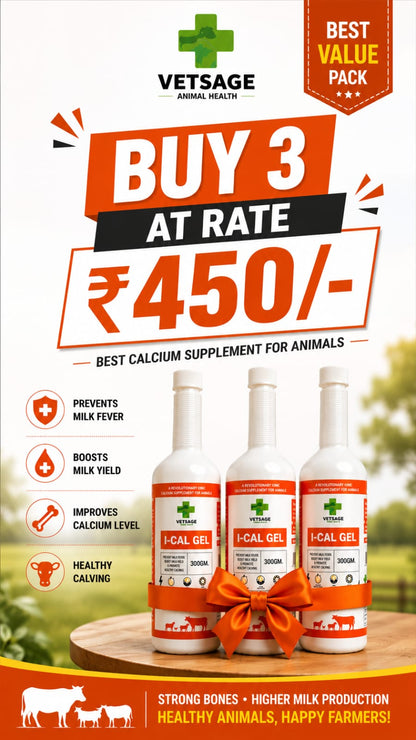I-CAL GEL IONIC CALCIUM TRIPLE COMBO OFFER