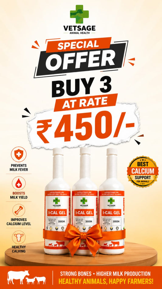 I-CAL GEL IONIC CALCIUM TRIPLE COMBO OFFER