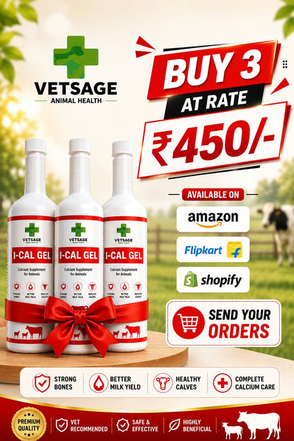 I-CAL GEL IONIC CALCIUM TRIPLE COMBO OFFER