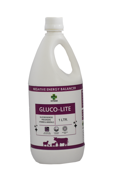 Gluco Lite Negative Energy Balancer